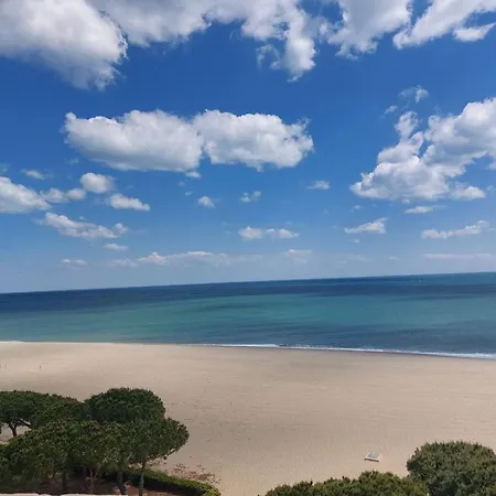 2 Pièces, 4 Pers, Proche Et Commerces, Parking, Animaux Admis - Fr-1-776-115 Appartamento Argelès-sur-Mer