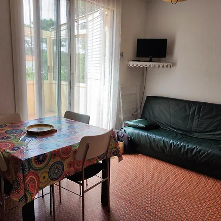 2 Pièces, 4 Pers, Proche Et Commerces, Parking, Animaux Admis - Fr-1-776-115 Appartamento *