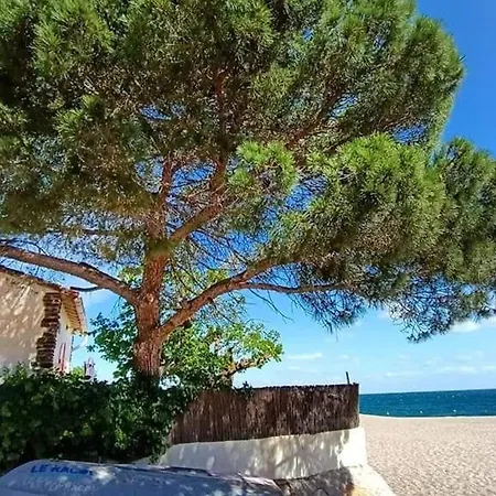 2 Pièces, 4 Pers, Proche Et Commerces, Parking, Animaux Admis - Fr-1-776-115 Appartamento Argelès-sur-Mer