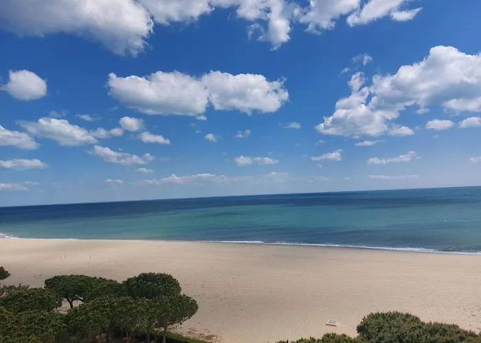 2 Pieces, 4 Pers, Proche Et Commerces, Parking, Animaux Admis - Fr-1-776-115 Apartamento Argelès-sur-Mer