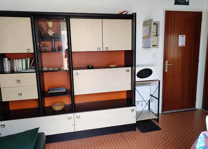 Apartamento 2 Pieces, 4 Pers, Proche Et Commerces, Parking, Animaux Admis - Fr-1-776-115