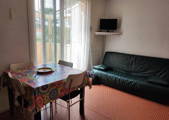 2 Pieces, 4 Pers, Proche Et Commerces, Parking, Animaux Admis - Fr-1-776-115 Apartamento *