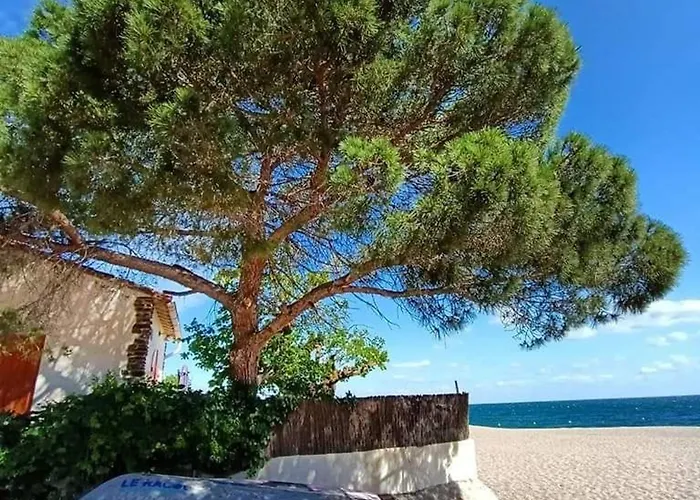 2 Pieces, 4 Pers, Proche Et Commerces, Parking, Animaux Admis - Fr-1-776-115 Apartamento Argelès-sur-Mer